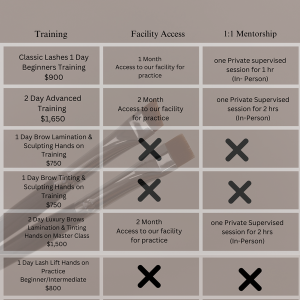 1 Day Brow Tinting & Sculpting Training