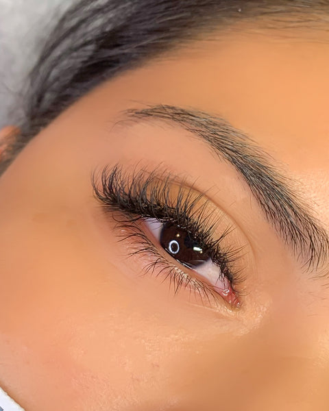 Classic Lash Extension Beginners In person Basic Training